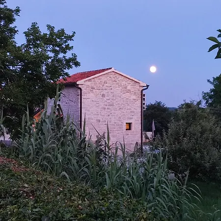 Villa Lita Pazin Exterior photo